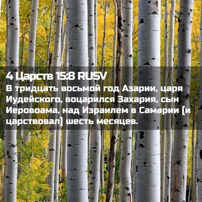 Picture 02 - 4 Царств 15:8 RUSV - В тридцать восьмой год - Bible Verse Picture