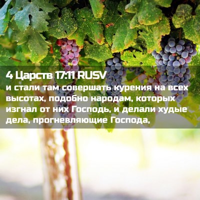 Picture 02 - 4 Царств 17:11 RUSV - и стали там совершать - Bible Verse Picture