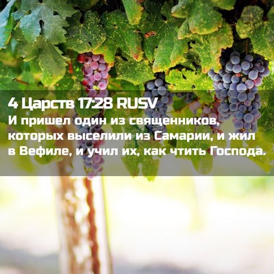 Picture 02 - 4 Царств 17:28 RUSV - И пришел один из - Bible Verse Picture