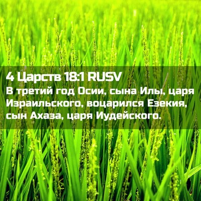 Picture 02 - 4 Царств 18:1 RUSV - В третий год Осии, сына Илы, - Bible Verse Picture
