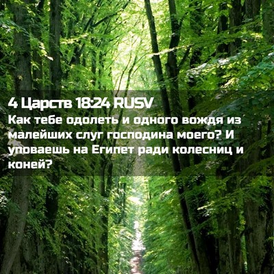 Picture 02 - 4 Царств 18:24 RUSV - Как тебе одолеть и одного - Bible Verse Picture