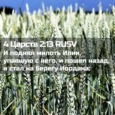 Picture 02 - 4 Царств 2:13 RUSV - И поднял милоть Илии, - Bible Verse Picture