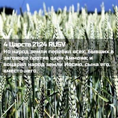 Picture 02 - 4 Царств 21:24 RUSV - Но народ земли перебил - Bible Verse Picture