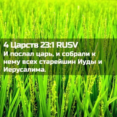 Picture 02 - 4 Царств 23:1 RUSV - И послал царь, и собрали к - Bible Verse Picture