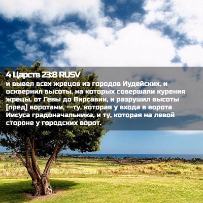 Picture 02 - 4 Царств 23:8 RUSV - и вывел всех жрецов из - Bible Verse Picture