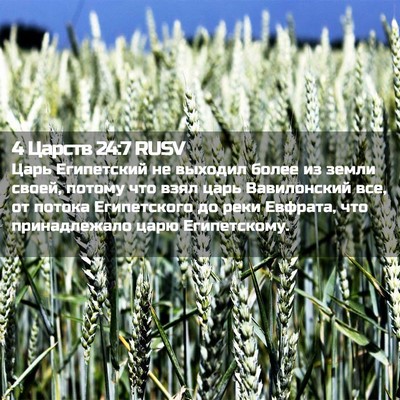 Picture 02 - 4 Царств 24:7 RUSV - Царь Египетский не выходил - Bible Verse Picture