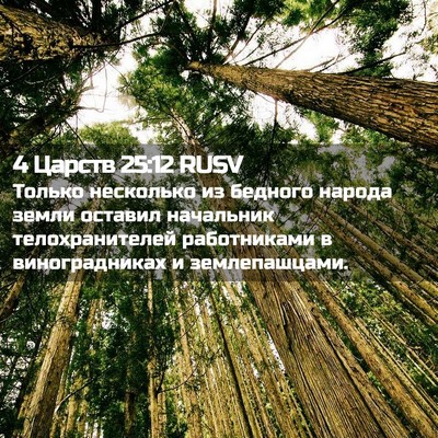 Picture 02 - 4 Царств 25:12 RUSV - Только несколько из - Bible Verse Picture