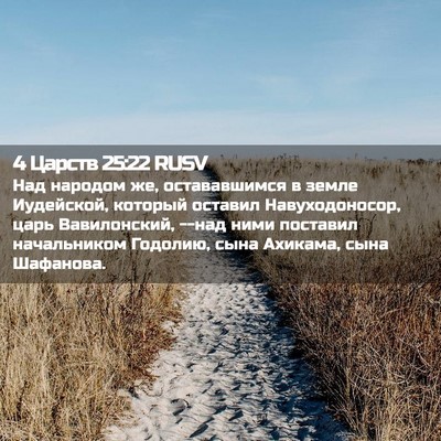 Picture 02 - 4 Царств 25:22 RUSV - Над народом же, - Bible Verse Picture