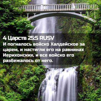 Picture 02 - 4 Царств 25:5 RUSV - И погналось войско - Bible Verse Picture
