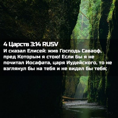 Picture 02 - 4 Царств 3:14 RUSV - И сказал Елисей: жив - Bible Verse Picture