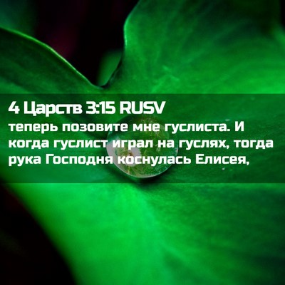 Picture 02 - 4 Царств 3:15 RUSV - теперь позовите мне - Bible Verse Picture