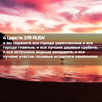 Picture 02 - 4 Царств 3:19 RUSV - и вы поразите все города - Bible Verse Picture