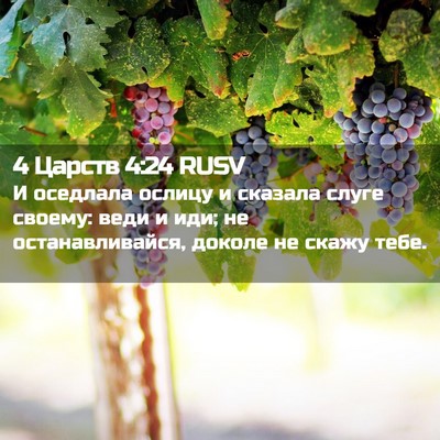 Picture 02 - 4 Царств 4:24 RUSV - И оседлала ослицу и - Bible Verse Picture