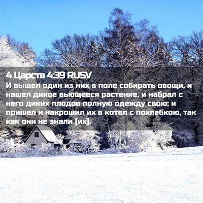 Picture 02 - 4 Царств 4:39 RUSV - И вышел один из них в поле - Bible Verse Picture