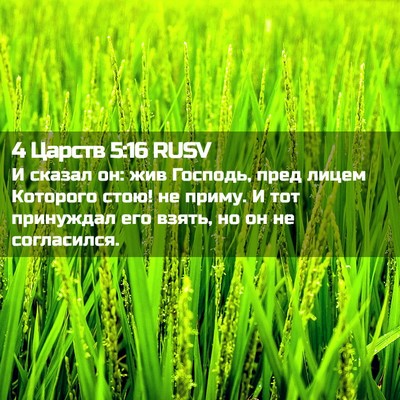 Picture 02 - 4 Царств 5:16 RUSV - И сказал он: жив Господь, - Bible Verse Picture