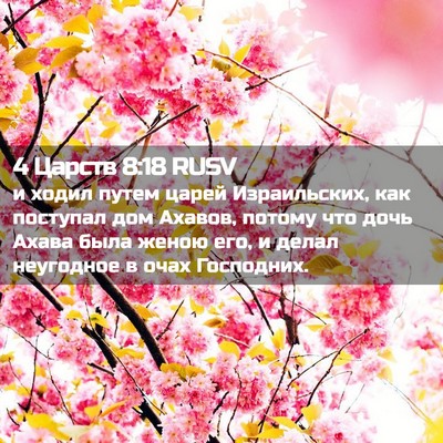 Picture 02 - 4 Царств 8:18 RUSV - и ходил путем царей - Bible Verse Picture