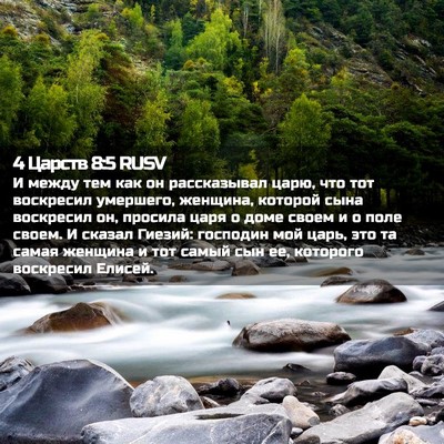 Picture 02 - 4 Царств 8:5 RUSV - И между тем как он - Bible Verse Picture