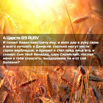 Picture 02 - 4 Царств 8:9 RUSV - И пошел Азаил навстречу - Bible Verse Picture