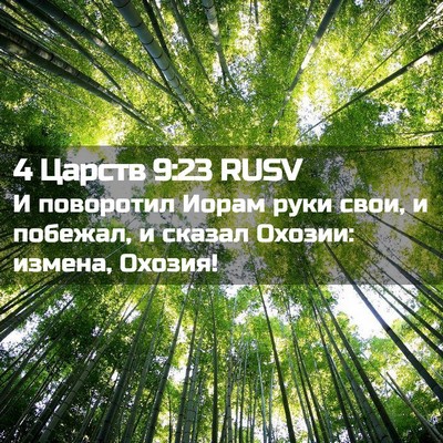Picture 02 - 4 Царств 9:23 RUSV - И поворотил Иорам руки - Bible Verse Picture
