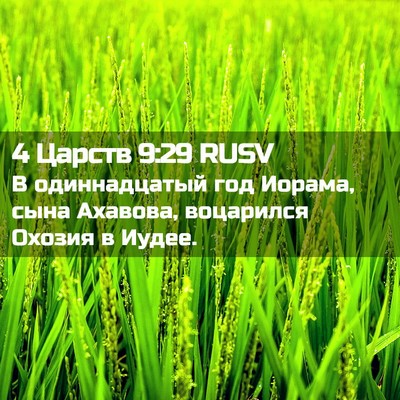 Picture 02 - 4 Царств 9:29 RUSV - В одиннадцатый год Иорама, - Bible Verse Picture