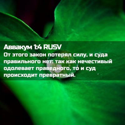 Picture 02 - Аввакум 1:4 RUSV - От этого закон потерял - Bible Verse Picture