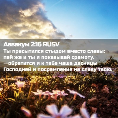 Picture 02 - Аввакум 2:16 RUSV - Ты пресытился стыдом - Bible Verse Picture