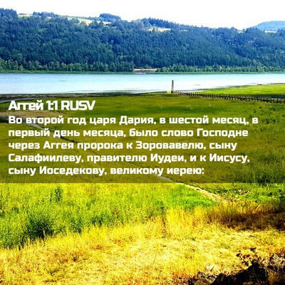 Picture 02 - Аггей 1:1 RUSV - Во второй год царя Дария, в - Bible Verse Picture