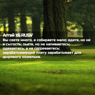 Picture 02 - Аггей 1:6 RUSV - Вы сеете много, а собираете - Bible Verse Picture