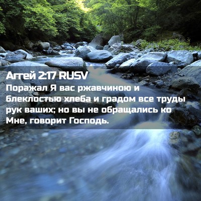 Picture 02 - Аггей 2:17 RUSV - Поражал Я вас ржавчиною и - Bible Verse Picture