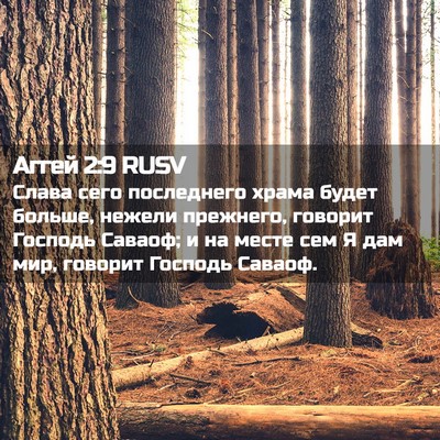 Picture 02 - Аггей 2:9 RUSV - Слава сего последнего - Bible Verse Picture