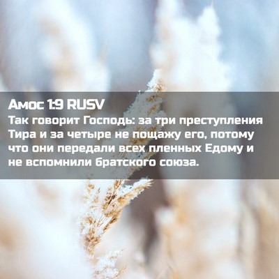 Picture 02 - Амос 1:9 RUSV - Так говорит Господь: за три - Bible Verse Picture