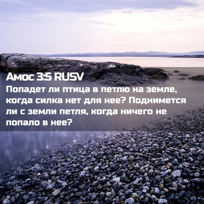Picture 02 - Амос 3:5 RUSV - Попадет ли птица в петлю на - Bible Verse Picture