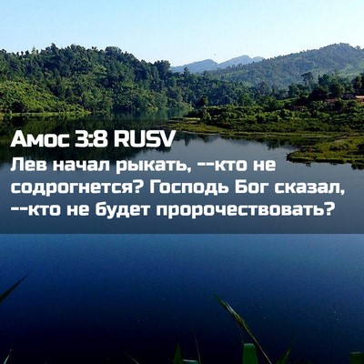Picture 02 - Амос 3:8 RUSV - Лев начал рыкать, --кто не - Bible Verse Picture