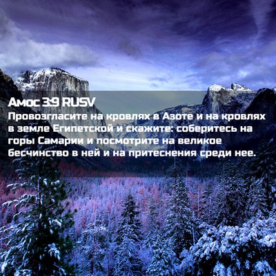 Picture 02 - Амос 3:9 RUSV - Провозгласите на кровлях в - Bible Verse Picture