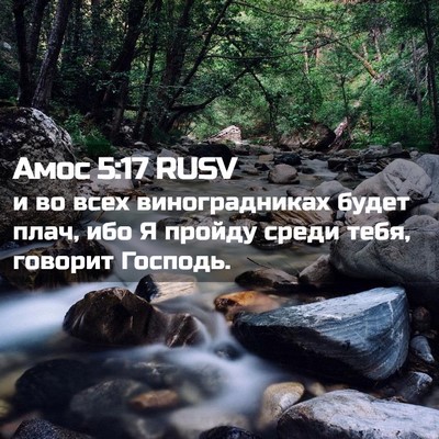 Picture 02 - Амос 5:17 RUSV - и во всех виноградниках - Bible Verse Picture