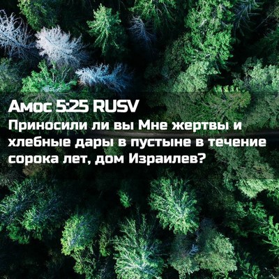 Picture 02 - Амос 5:25 RUSV - Приносили ли вы Мне жертвы - Bible Verse Picture