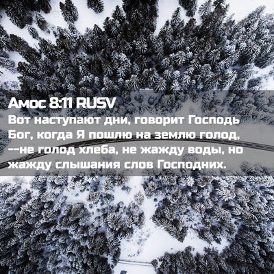 Picture 02 - Амос 8:11 RUSV - Вот наступают дни, говорит - Bible Verse Picture