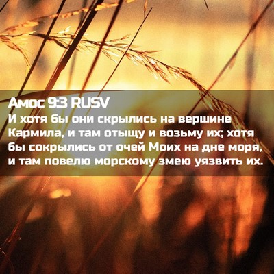 Picture 02 - Амос 9:3 RUSV - И хотя бы они скрылись на - Bible Verse Picture