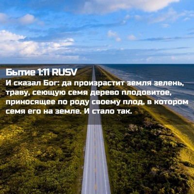 Picture 02 - Бытие 1:11 RUSV - И сказал Бог: да - Bible Verse Picture