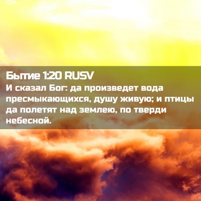 Picture 02 - Бытие 1:20 RUSV - И сказал Бог: да произведет - Bible Verse Picture