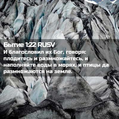 Picture 02 - Бытие 1:22 RUSV - И благословил их Бог, - Bible Verse Picture