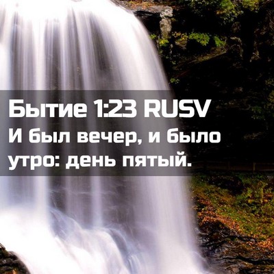 Picture 02 - Бытие 1:23 RUSV - И был вечер, и было утро: - Bible Verse Picture
