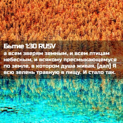 Picture 02 - Бытие 1:30 RUSV - а всем зверям земным, и - Bible Verse Picture