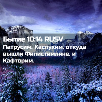 Picture 02 - Бытие 10:14 RUSV - Патрусим, Каслухим, откуда - Bible Verse Picture