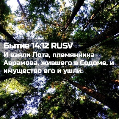 Picture 02 - Бытие 14:12 RUSV - И взяли Лота, племянника - Bible Verse Picture