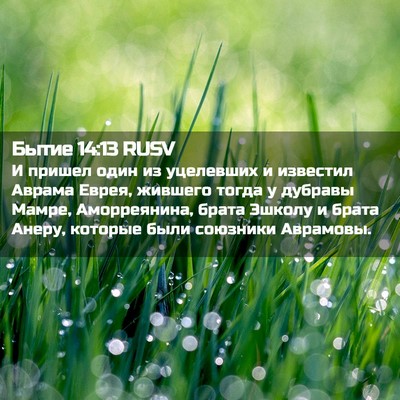 Picture 02 - Бытие 14:13 RUSV - И пришел один из уцелевших - Bible Verse Picture