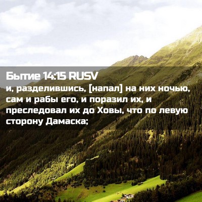 Picture 02 - Бытие 14:15 RUSV - и, разделившись, [напал] на - Bible Verse Picture