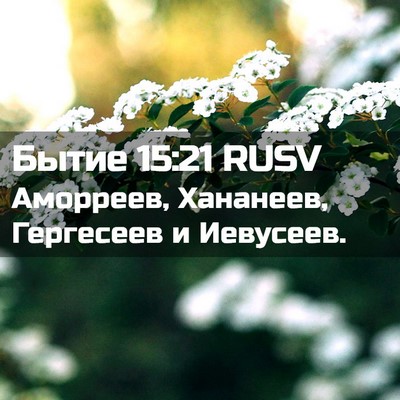 Picture 02 - Бытие 15:21 RUSV - Аморреев, Хананеев, - Bible Verse Picture
