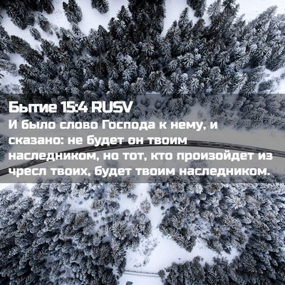 Picture 02 - Бытие 15:4 RUSV - И было слово Господа к - Bible Verse Picture