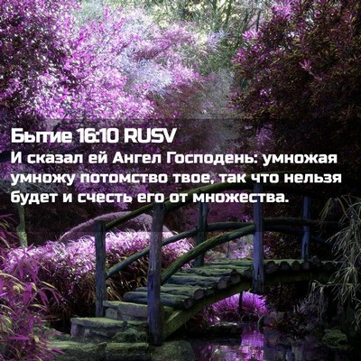 Picture 02 - Бытие 16:10 RUSV - И сказал ей Ангел - Bible Verse Picture